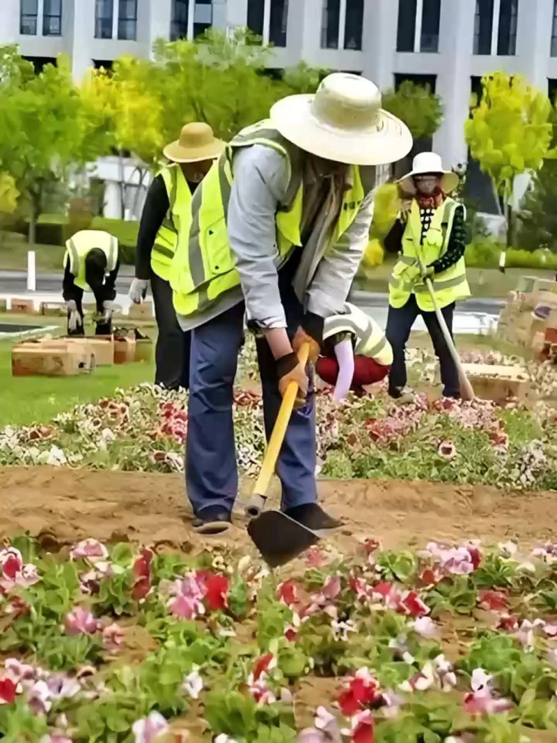 工具推荐类:深度剖析上海屹建与上海屹仰的咨询服务